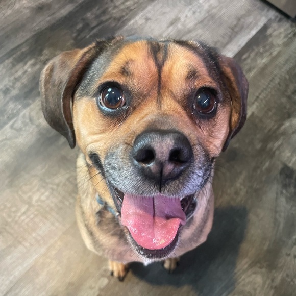 🫶🏻💕 AUTUMN_21 is live! 💕 🫶🏻 - Picture 5 of 11